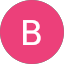 Bruce P. Avatar